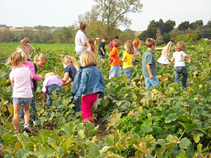 School field trips to Howell's Pumpkin Patch in Cumming, Iowa are also fun and educational.  