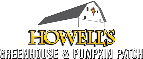 Howell's Pick-your-own Pumpkin Patch in Cumming, Iowa